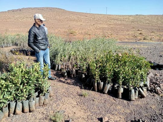 53440022185 f0f8e64a42 o