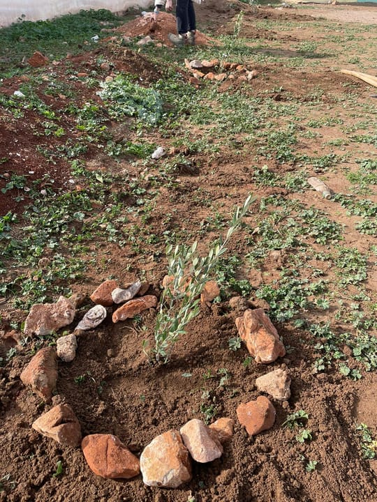 53464645732 d184eaf71e o