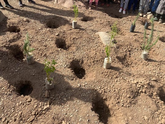 53464648577 14ebf92268 o