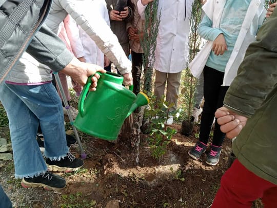 53465553081 15275638ab o