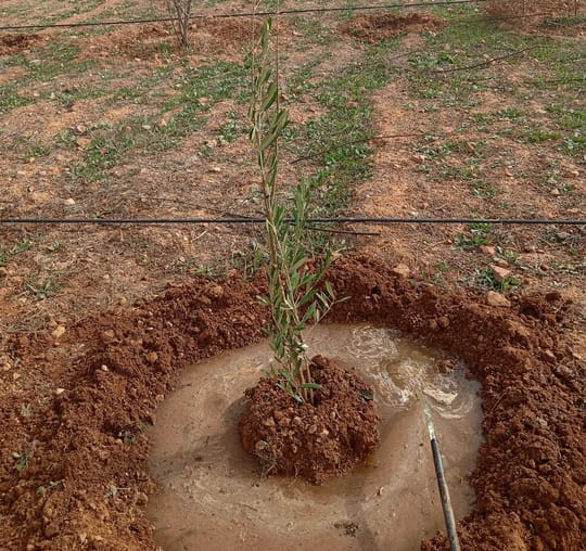 53465553916 fee0c4cf44 o