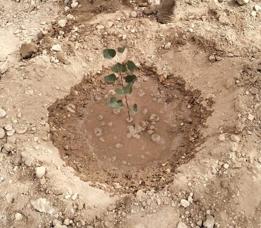 53465554311 43682731cd o