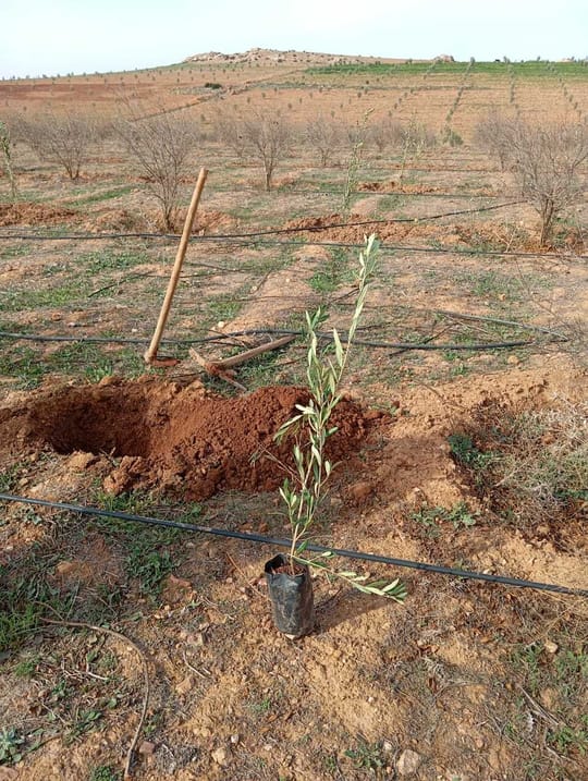 53465691228 42d209cfbf o