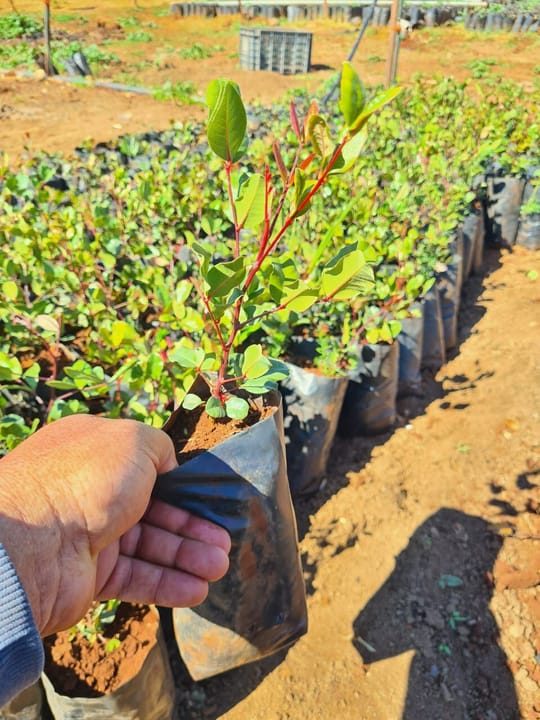 53480083439 e70eeb8174 o