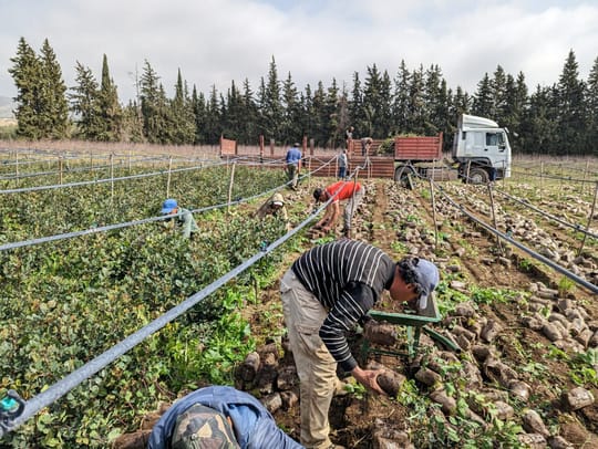 53500035790 b0844a23fd o