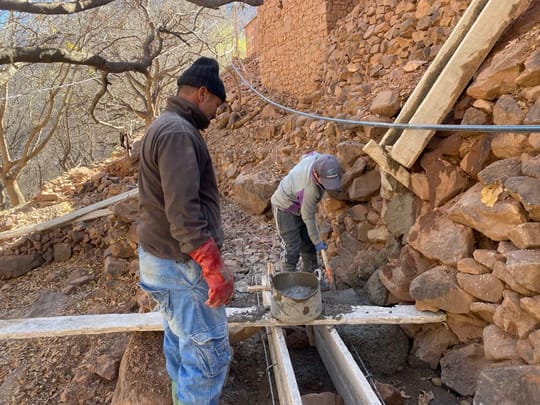 53518681341 0f50da100e o