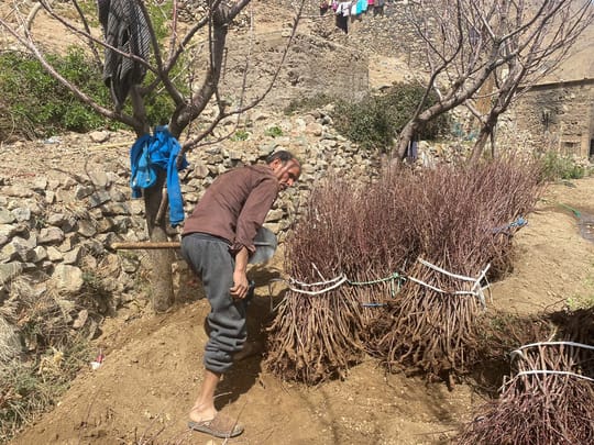 53602070020 2219277039 o