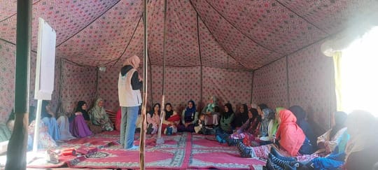 53640083976 1828627191 o