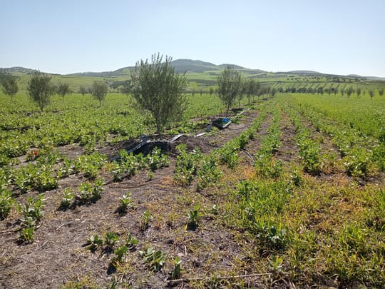 53689100601 a31b10aaa1 o