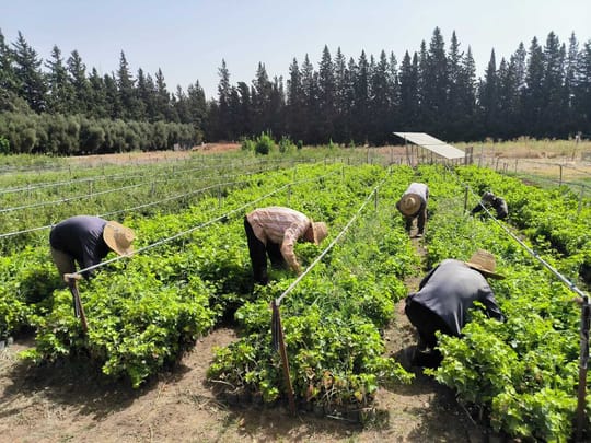 53921200215 c48cd73d30 o