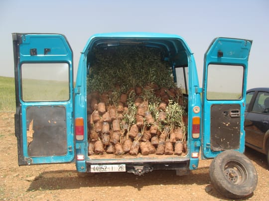 6578027233 48889eceac o