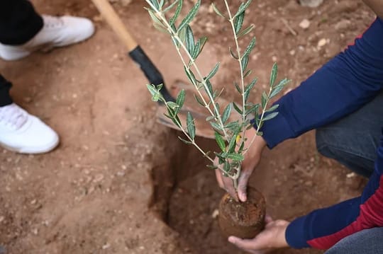 7ab58a 5103b28eabbf486f93424c1182f85e06