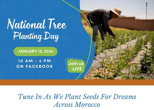 7ab58a 840ed13e0d5d4130a8852c3259381e8fmv2 1