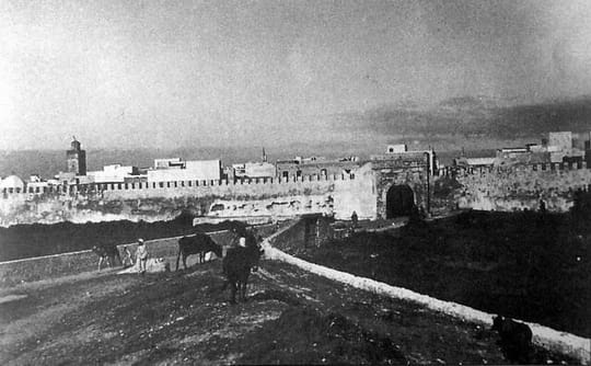 8623959061 76f5970c4d z