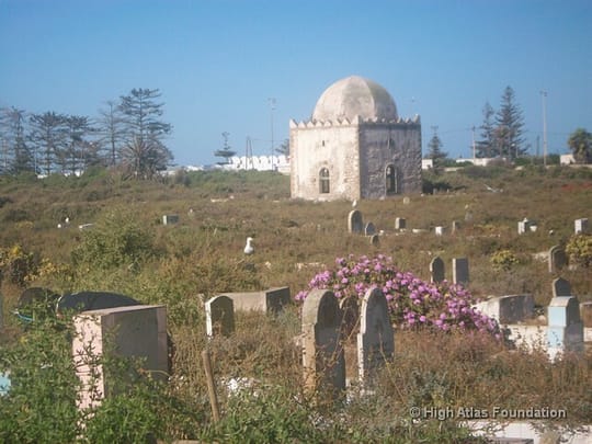 9723766645 edfa8602f1 z