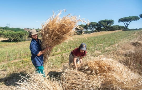 A518 B371 3263 4336 9 AA2 02 F7 EDF846 C1