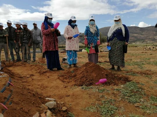 Achieving Environmental and Economic Sustainability