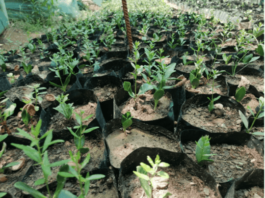 Capture decran 2021 07 26 103320