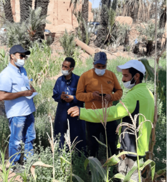 Capture decran 2021 07 27 092334