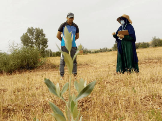 Capture decran 2021 07 27 132259