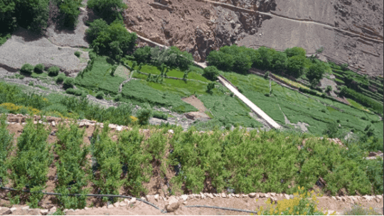 Capture decran 2021 07 28 105637