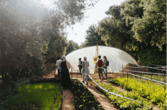 Capture decran 2021 07 28 112600