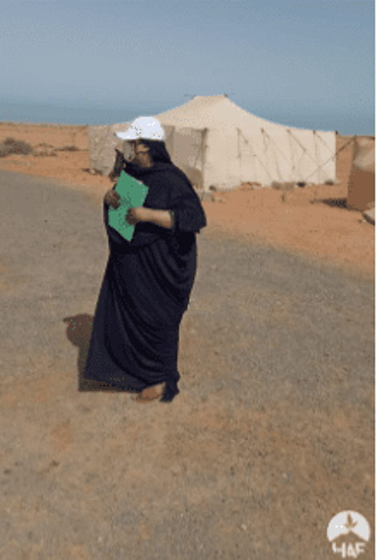 Capture decran 2021 08 02 144555