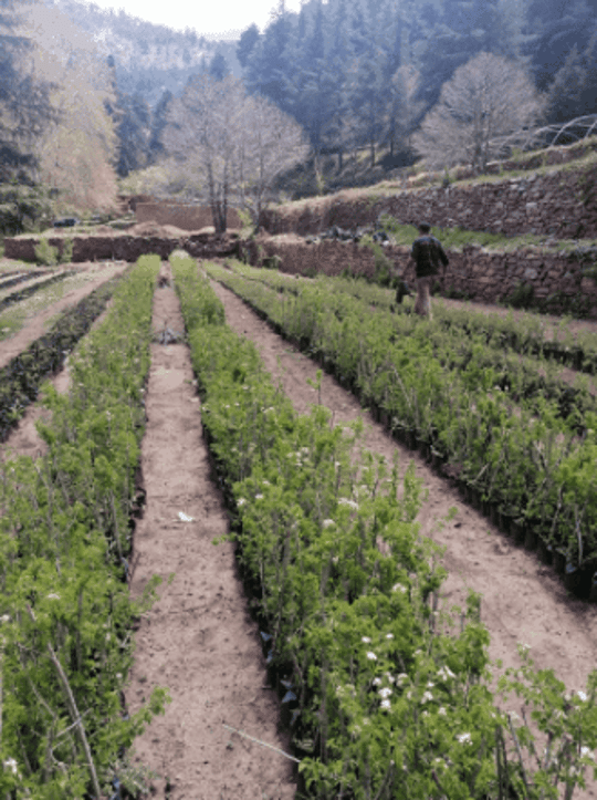 Capture decran 2021 08 02 151652