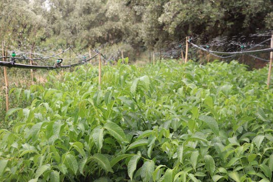 Capture decran 2021 11 19 153619