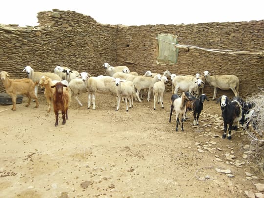 Copy of Copy of IMG20211215134159