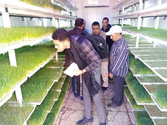 Copy of Whats App Image 2019 11 27 at 7 35 24 PM