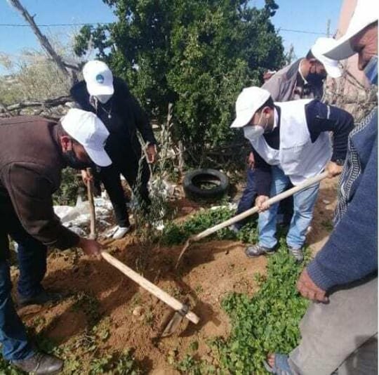 HAF and Siemens Gamesa Renewable Energy planted 800 trees in Oussen
