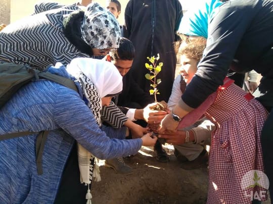 IMG 20181226 WA0053 GF 1