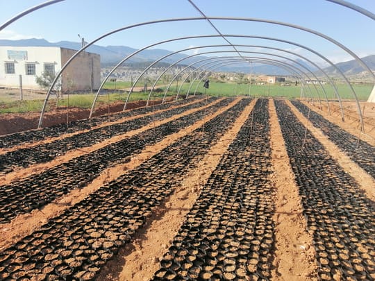 IMG 20210428 074223 1