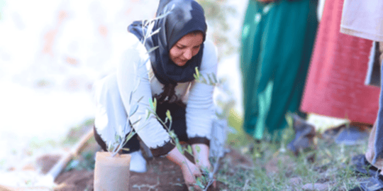 March Program Update 1