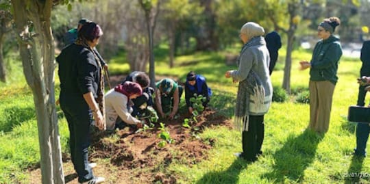 March Program Update 11