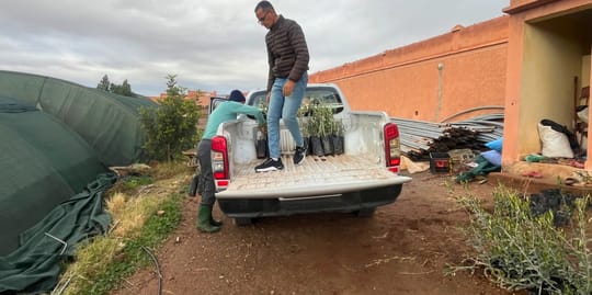 March Program Update 19