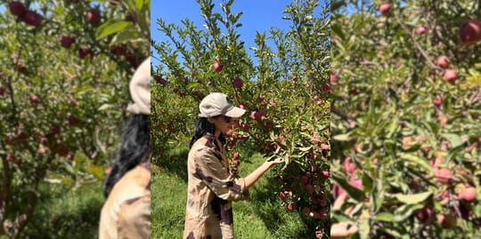 March Program Update 1