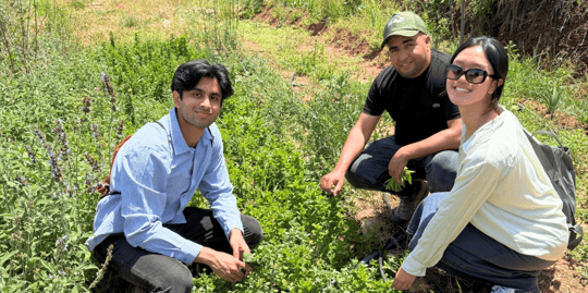 March Program Update 2