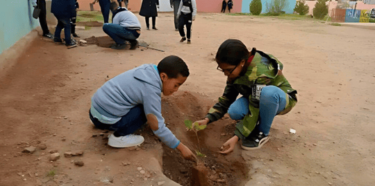 March Program Update 26