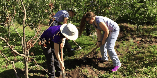 March Program Update 34