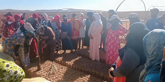 March Program Update 35