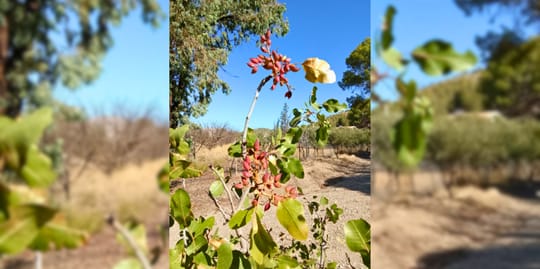 March Program Update 43