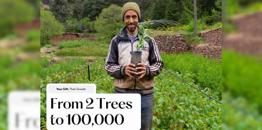 March Program Update 6