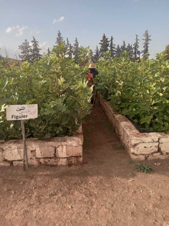 PHOTO 2024 10 07 17 48 11