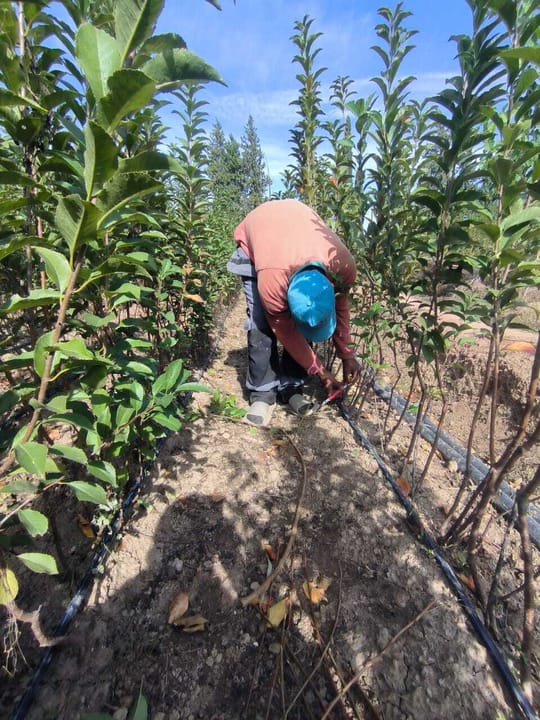 PHOTO 2024 10 23 11 57 36