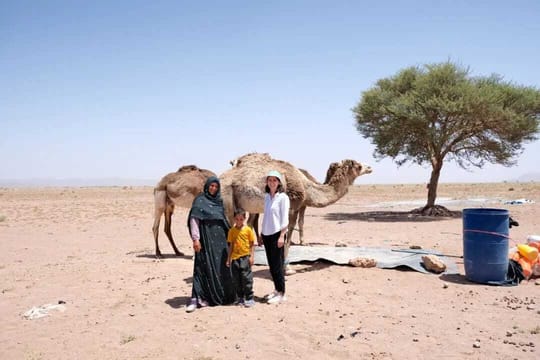 PHOTO 2024 11 21 13 29 39