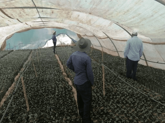 Screen Shot 2021 07 20 at 1 00 10 PM