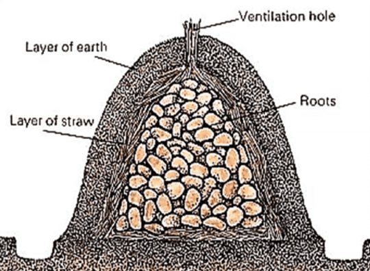 Screen Shot 2021 07 20 at 12 44 08 PM