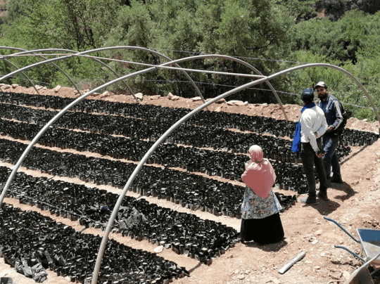 Screen Shot 2021 07 20 at 12 53 42 PM